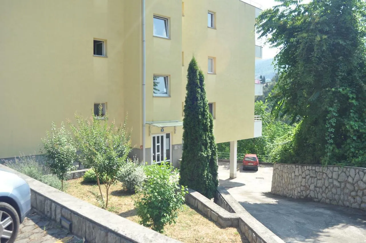Apartment Igor Icici